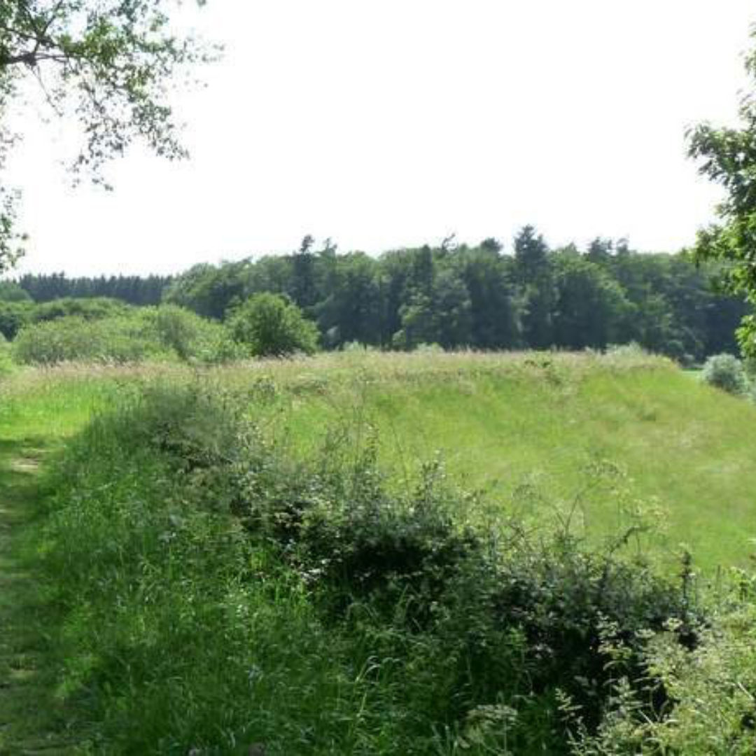bandijk-wandelen-deventer-davides-1060x460